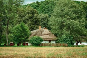 Tradycyjna wiejska chata wśród drzew