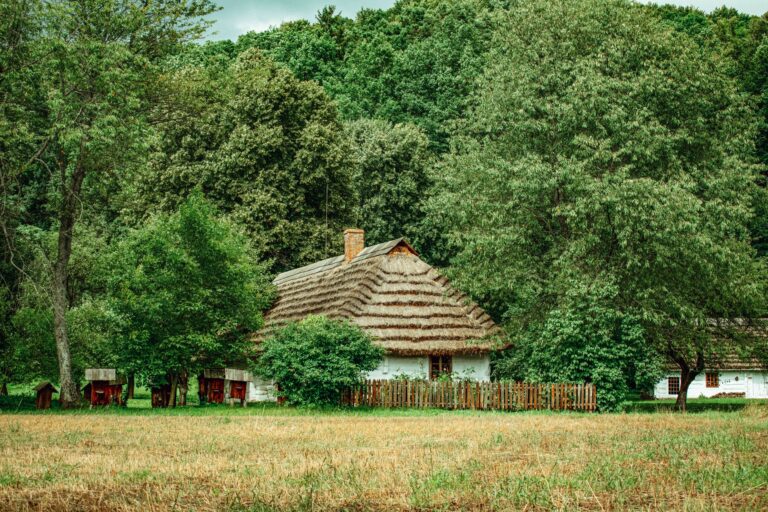 Tradycyjna wiejska chata wśród drzew